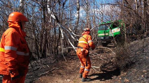 Revoca stato di massima pericolosità per gli incendi boschivi